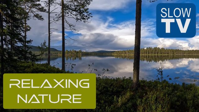 Rensjö, Dalarna | NFE Slow TV #9