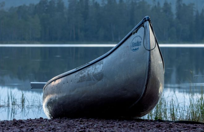 Recent Updates from Nordic Forest Echoes