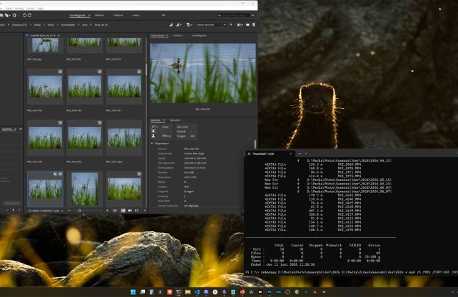 Keeping the Archive Sane: Robocopy for Photo and Video Backups