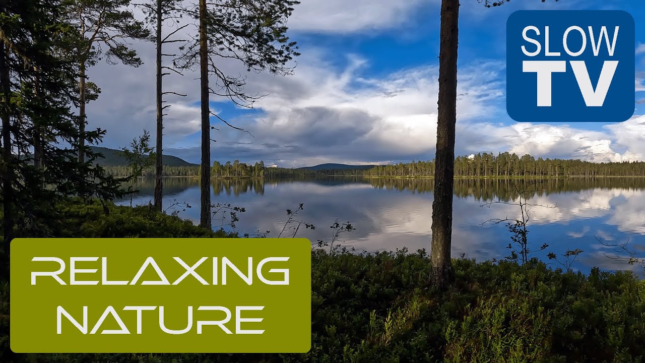 The Quiet Lake: A Journey into Serenity | NFE Slow TV #9