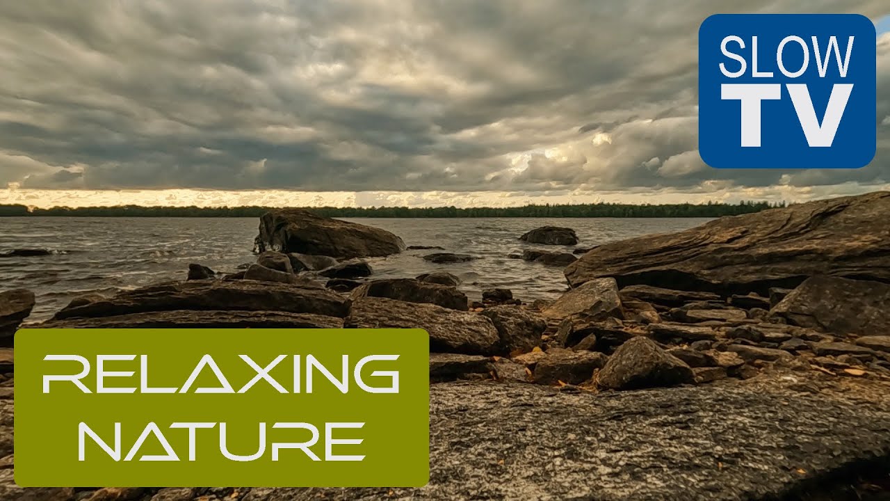 Soothing Lake Sounds for Ultimate Relaxation: Natures Perfect Chill Vibes | NFE Slow TV #7