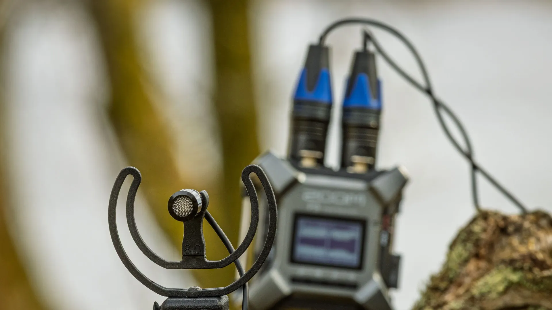 A Clippy EM272 XLR microphone mounted in a forest environment, connected to a Zoom F3 recorder for capturing quiet natural ambience and detailed outdoor soundscapes. A compact…
