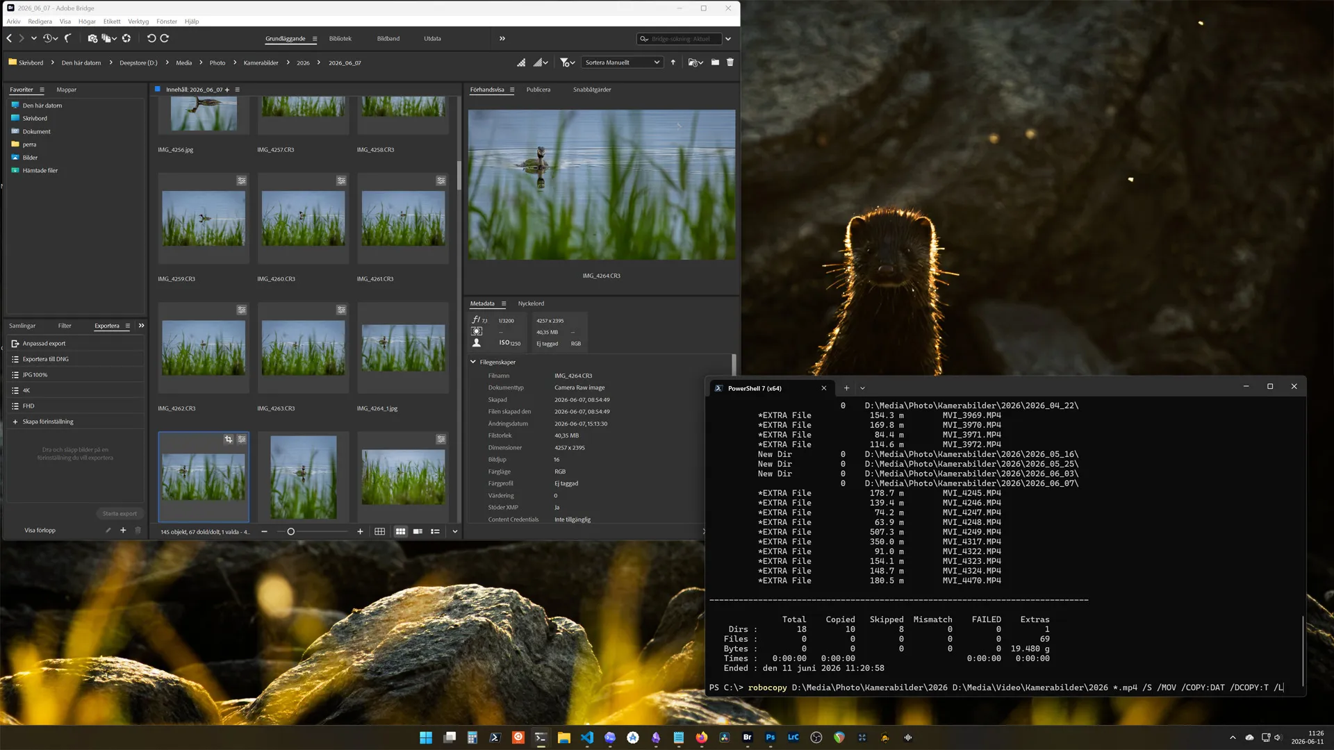 Keeping the Archive Sane: Robocopy for Photo and Video Backups